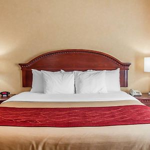 King Room Mobility accessible