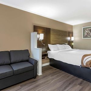 Superior King Suite