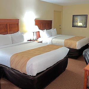 Standard Double Room Two Double Beds Non-Smoking