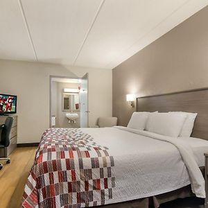 King Room Disability Access