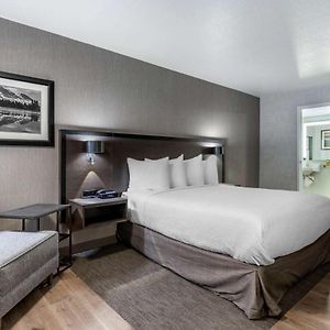 Executive King Suite