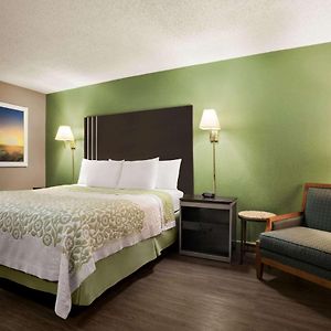 King Room Disability Access