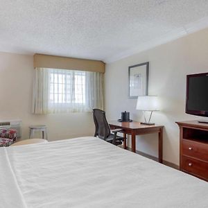Queen Room