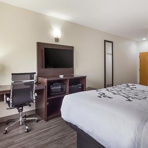 King Room Mobility accessible