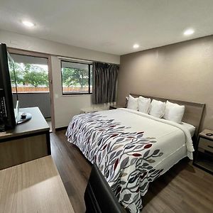 Standard Renovated