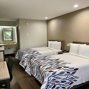 Deluxe  Renovated