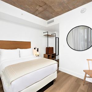Small King Room