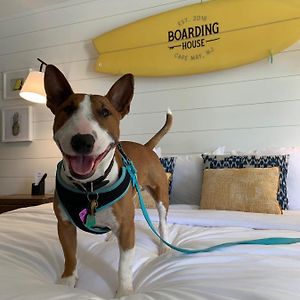 Queen Room Dog friendly