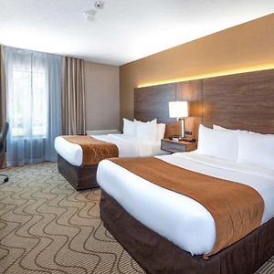 Top-floor Double Room