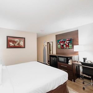 Deluxe  Queen Room Disability Access