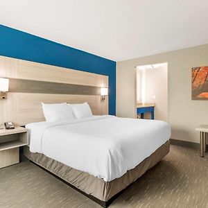 One-Bedroom King Suite