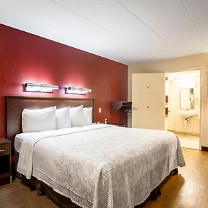 Deluxe  King Room Disability Access