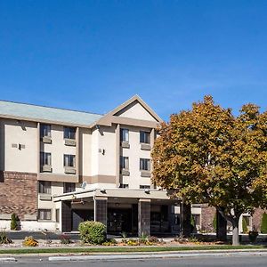 Quality Inn Downtown