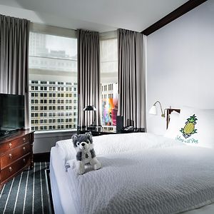 Executive King Suite