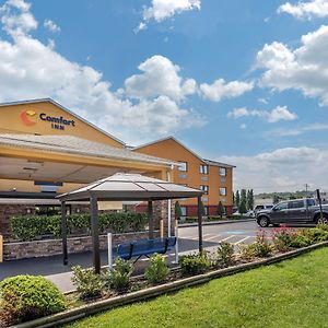 Comfort Inn Nashville West