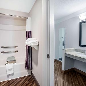 King Room Mobility accessible