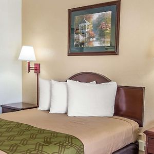 King Room Mobility accessible