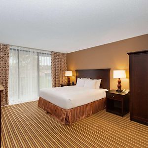 One-Bedroom King Suite