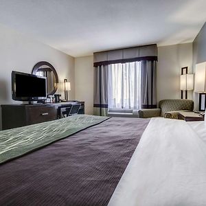 Comfort Inn & Suites I-10 Airport