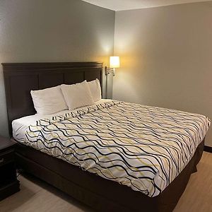 One-Bedroom King Suite