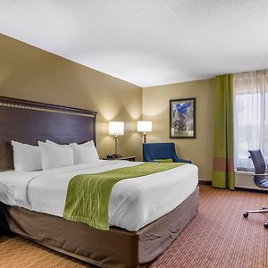 King Room Disability Access