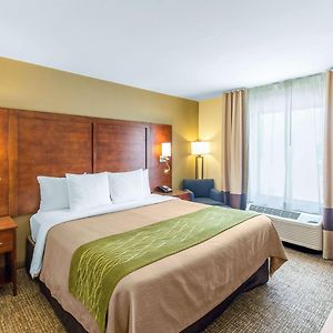 King Room Mobility accessible