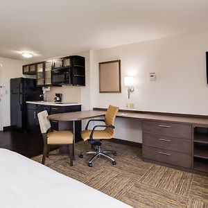 Studio Suite