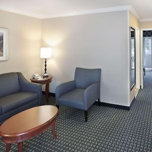 One-Bedroom King Suite