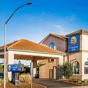 Comfort Inn Watsonville