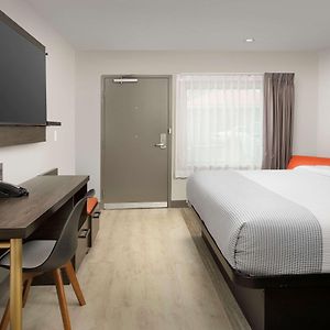 King Room Mobility accessible