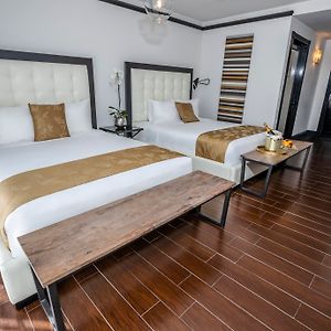 Superior Queen Room