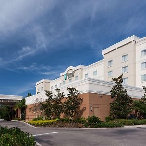 Embassy Suites By Hilton Tampa Brandon