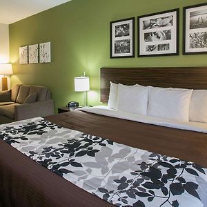 Corner King Suite