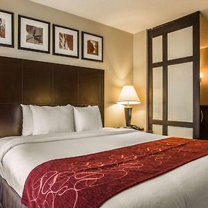 Large King Suite