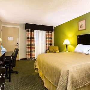 Queen Room