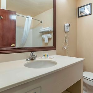 Queen Suite