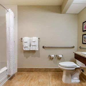 King Suite Disability Access