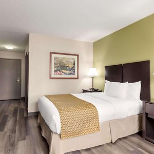 Double Room Mobility accessible