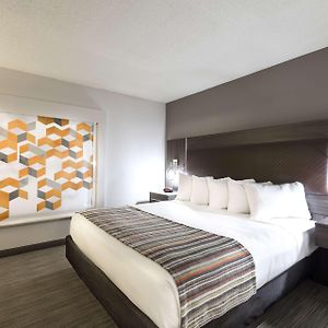 One-Bedroom King Suite Disability Access