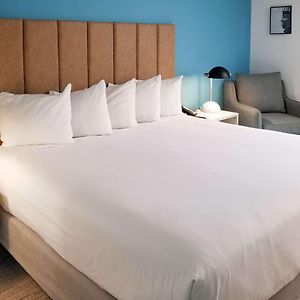 Superior King Suite
