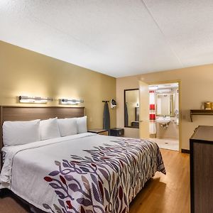 Superior  King Room Disability Access