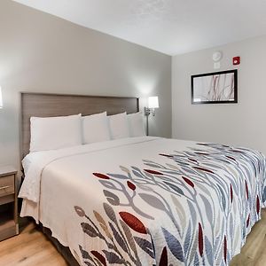 Standard King Room Disability Access