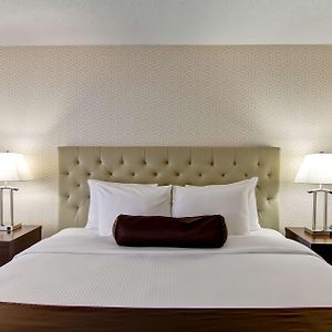 Large King Room