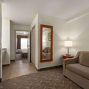 One-Bedroom King Suite