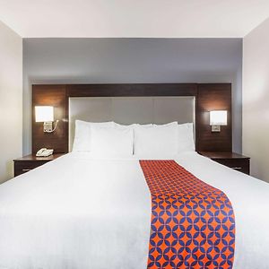 King Room Mobility accessible