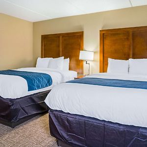 Queen Suite