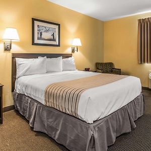 Queen Suite
