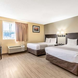 Queen Suite