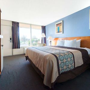 King Room Disability Access