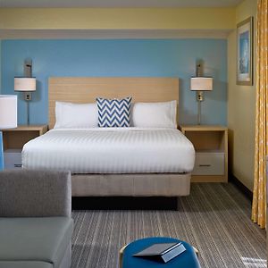 King Studio Suite
